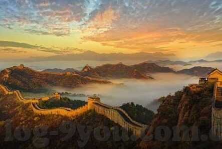 世界杯队服阿根廷-世界杯队服阿根廷，传承与创新的时尚篇章